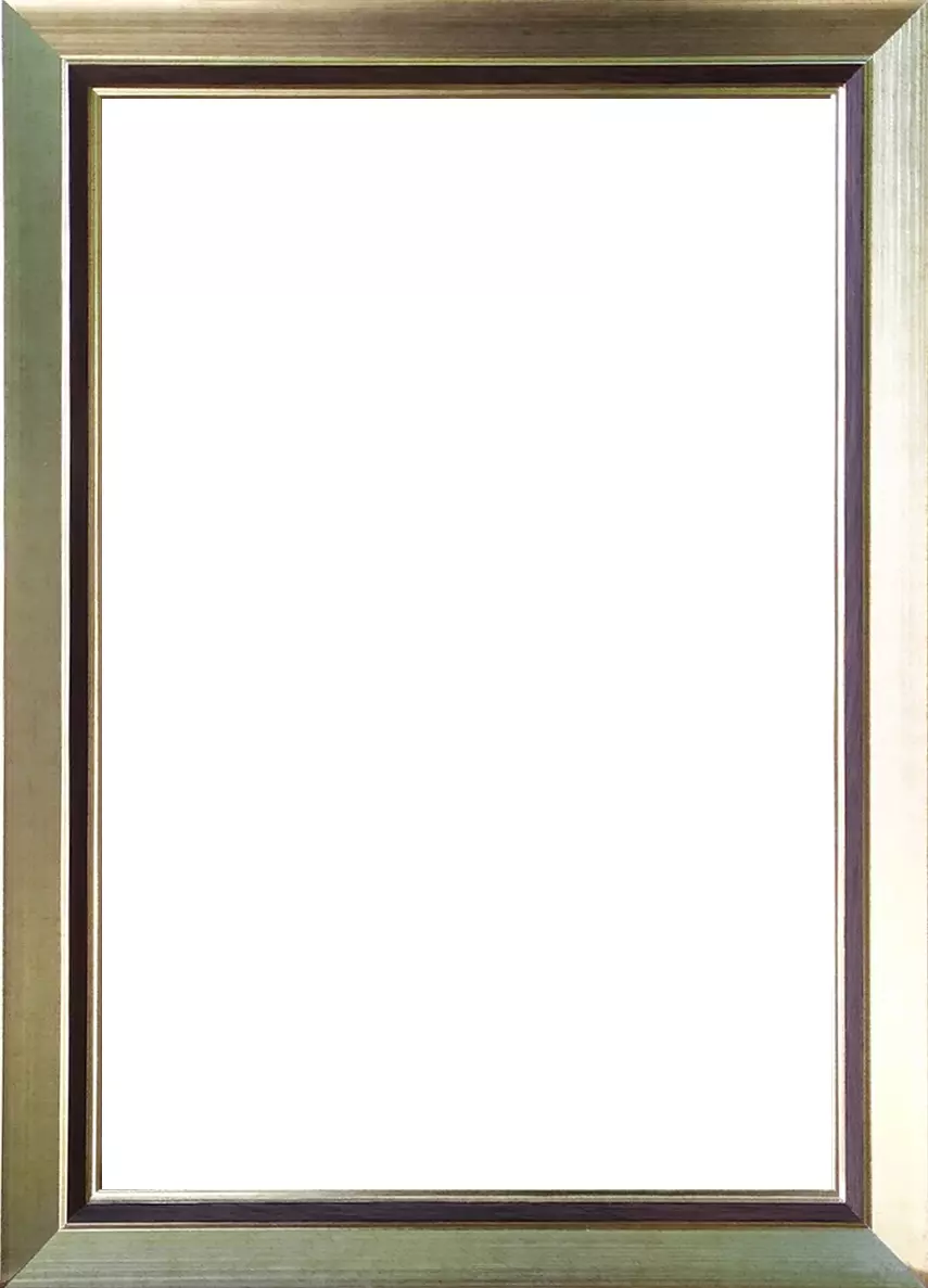 Рама багетная 50x50 для картин, золотая-коричневая - 2,5 см, классическая, пластиковая, с креплением, 722-44