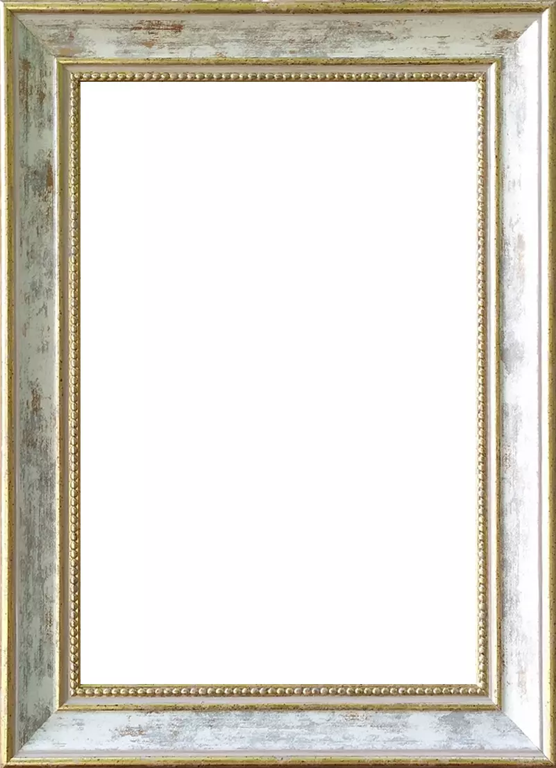 Рама багетная 40x50 для картин, бежевая-золотая - 3,8 см, классическая, пластиковая, с креплением, 704-41