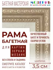 Багетная рама 55x70 для картин и зеркал, ширина - 3,5 см, классическая, пластиковая, с креплением, 723-14