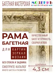 Багетная рама 50x95 для картин и зеркал, ширина - 4,3 см, классическая, пластиковая, с креплением, 719-14