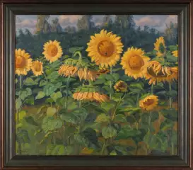 Картина. Александр Золотых Подсолнухи, холст, масло. 60х70 см. Авторская живопись.