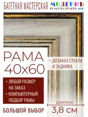 Рама багетная 40x60 для картин и зеркал - 3,8 см, классическая, пластиковая, с креплением, без стекла, М-9-6