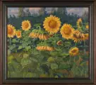 Картина. Александр Золотых Подсолнухи, холст, масло. 60х70 см. Авторская живопись.